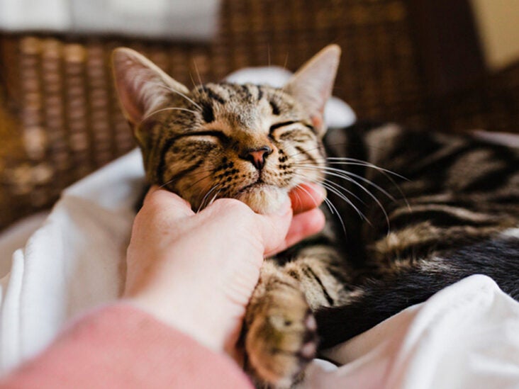 7 Ways to Make Yourself Comfortable During a Migraine Attack